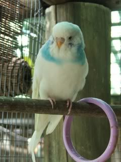 JUNE07017.jpg