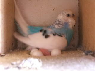 JUNE07029.jpg