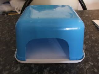 JUNE07085.jpg
