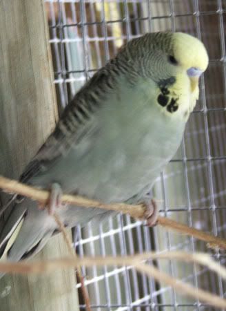 JUNE07103.jpg