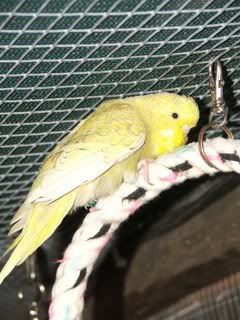 JUNE07138.jpg
