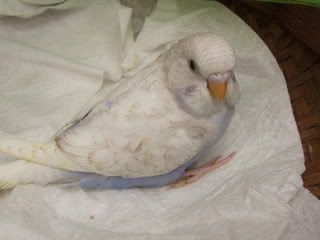 MAY051.jpg