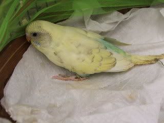 MAY053.jpg