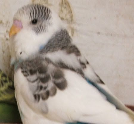 MAY055.jpg