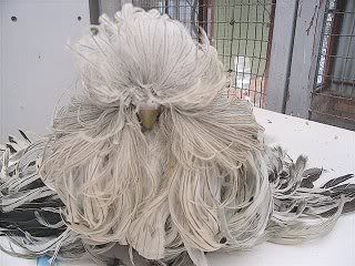Picture1694.jpg