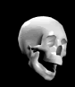 anichatlft.gif