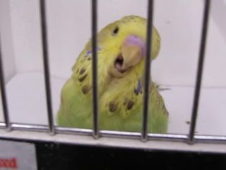 april0722.jpg