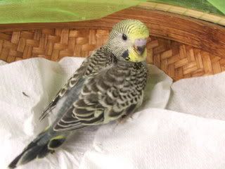 april0725.jpg