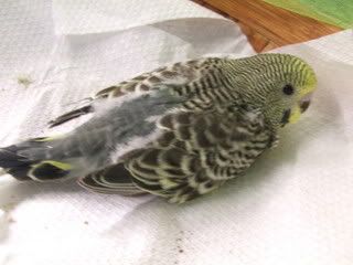 april0730.jpg
