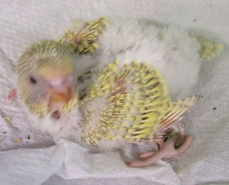april0739.jpg