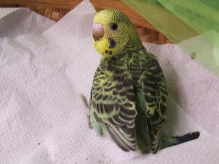 april0740.jpg