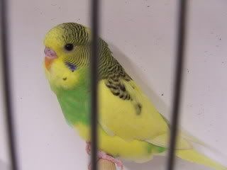 april075.jpg