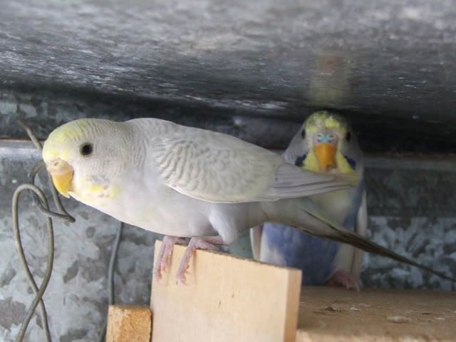 41842f04.jpg