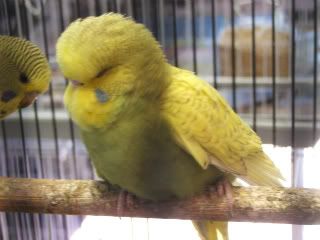 DSCF0008.jpg