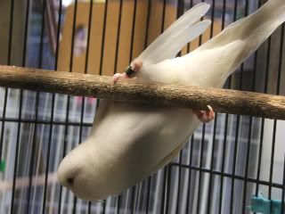DSCF0146.jpg