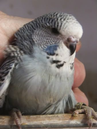 DSCF1020.jpg