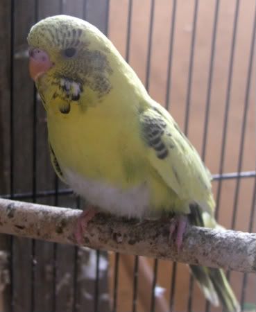 DSCF1034.jpg