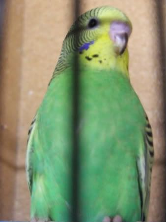 DSCF1093.jpg