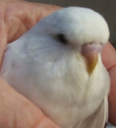DSCF1124.jpg