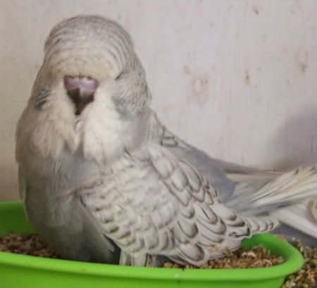 DSCF1181.jpg