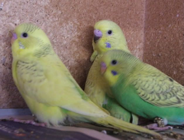 DSCF1206.jpg
