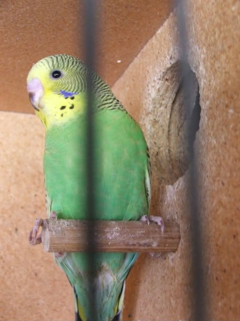 DSCF1207.jpg