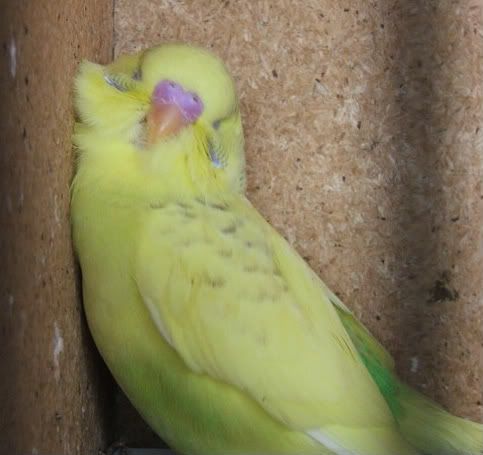 DSCF1216.jpg