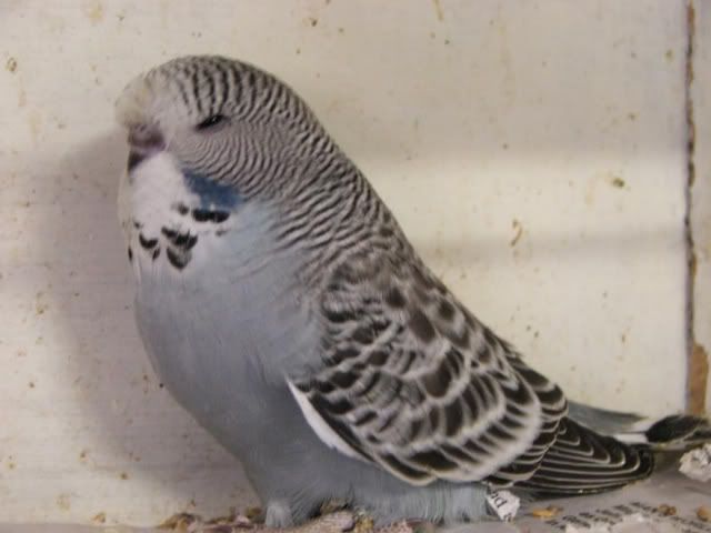 DSCF1281.jpg