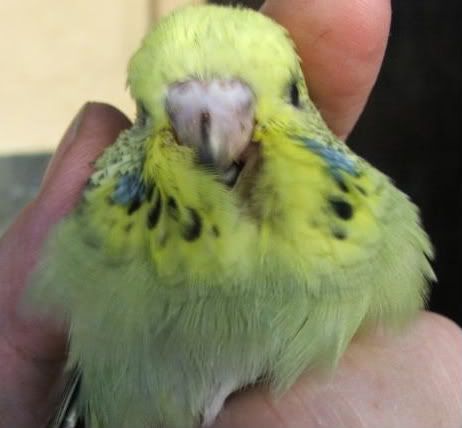 DSCF1294.jpg