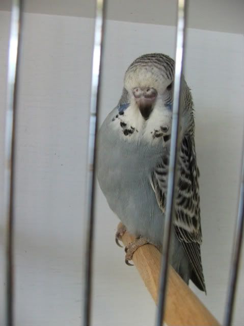 DSCF1416.jpg