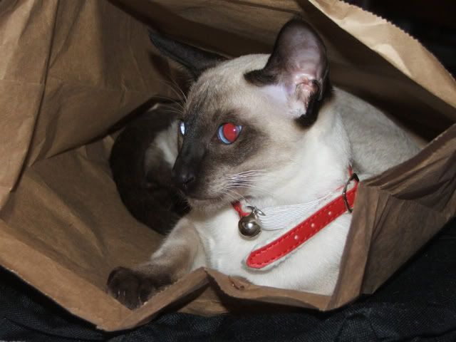 DSCF1557.jpg