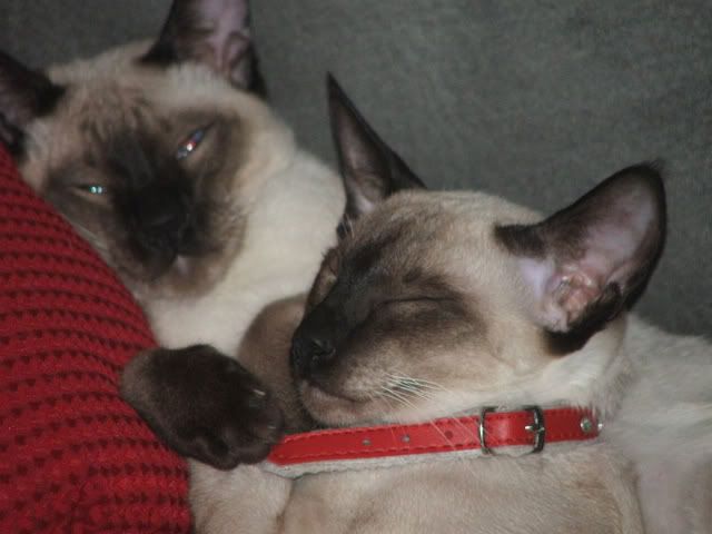 DSCF1564.jpg