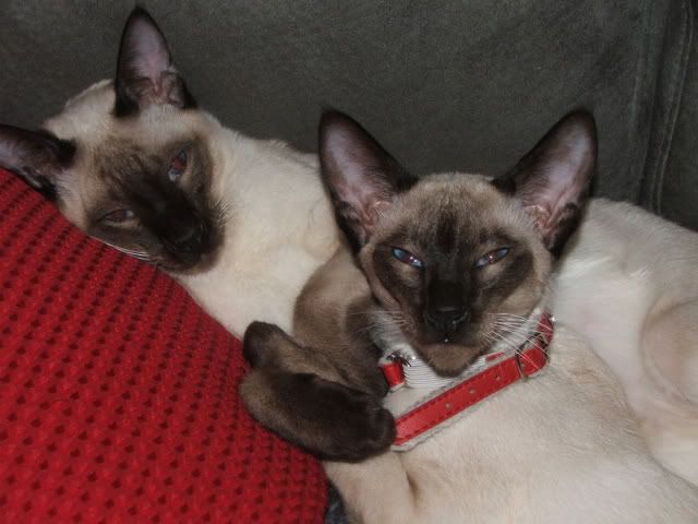 DSCF1565.jpg
