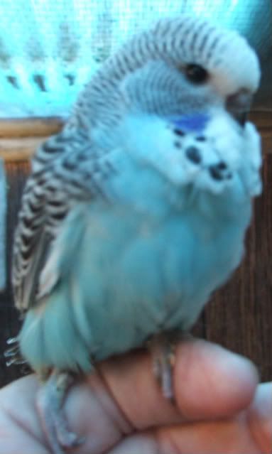 DSCF1578.jpg