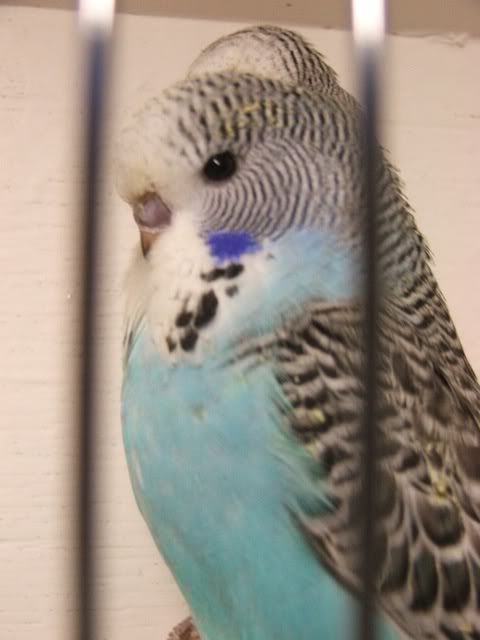 DSCF1634.jpg