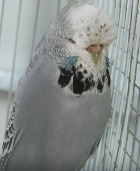 DSCF1740.jpg
