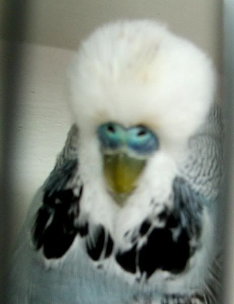 DSCF1750.jpg