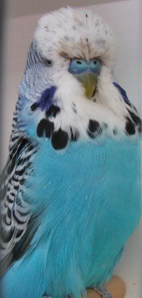 DSCF1757.jpg