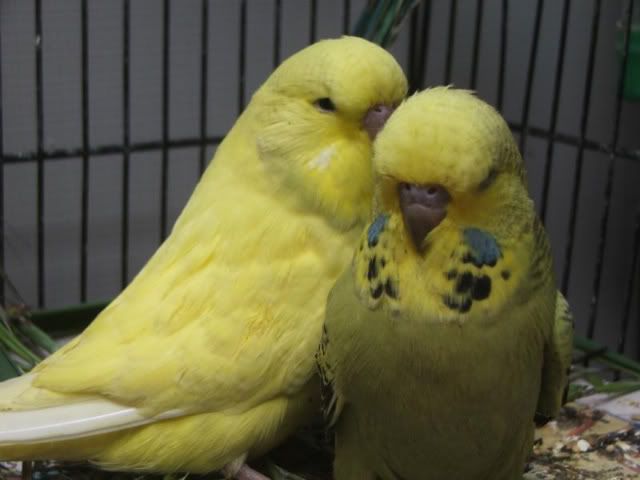 DSCF3269.jpg