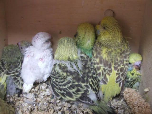 DSCF3309.jpg