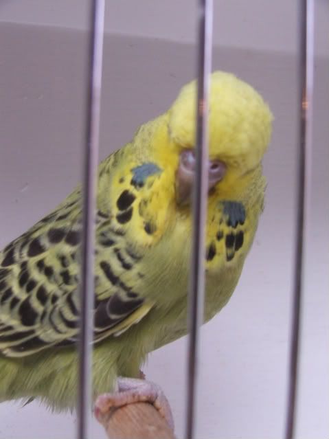 DSCF3557.jpg
