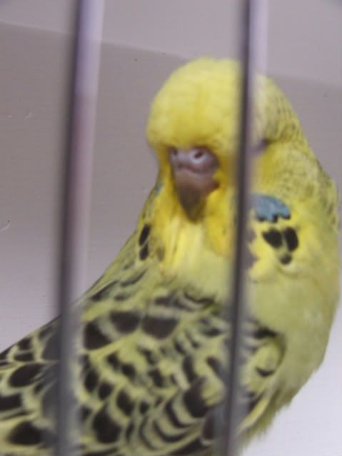 DSCF3563.jpg