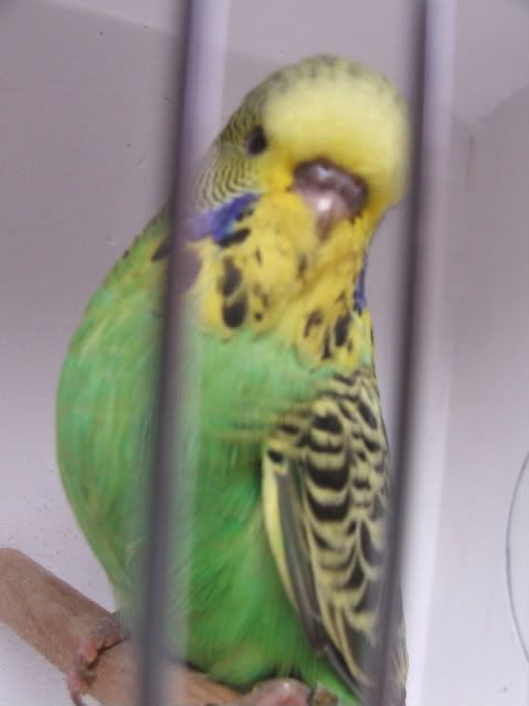 DSCF3566.jpg