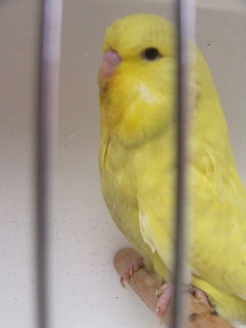 DSCF3571.jpg