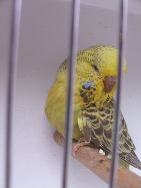 DSCF3574.jpg