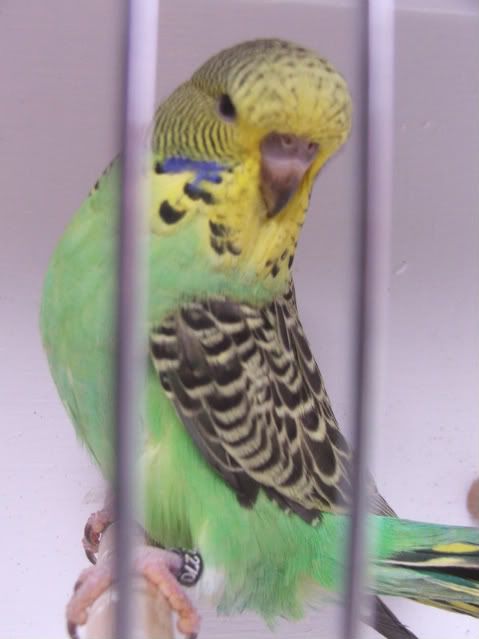 DSCF3579.jpg