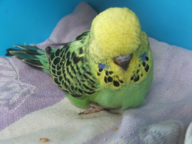 DSCF3588.jpg