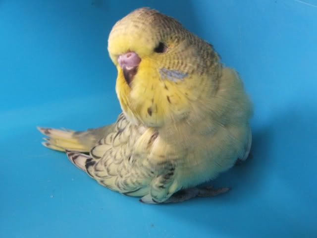 DSCF3598.jpg