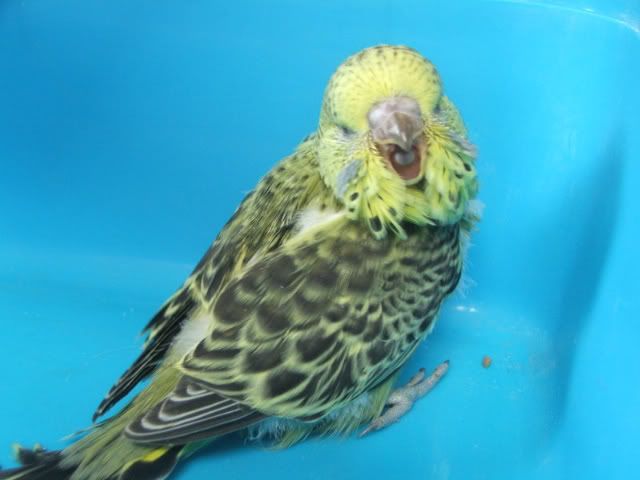 DSCF3608.jpg