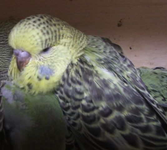 DSCF3683.jpg